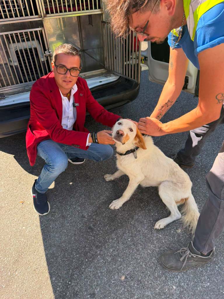 Enrico Rizzi e il cane salvato