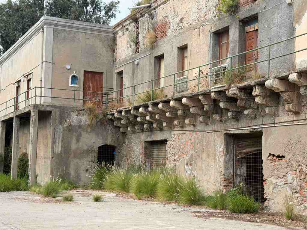 real cittadella 8