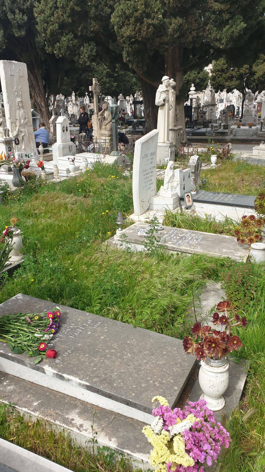 Il cimitero di Messina merita una cura costante